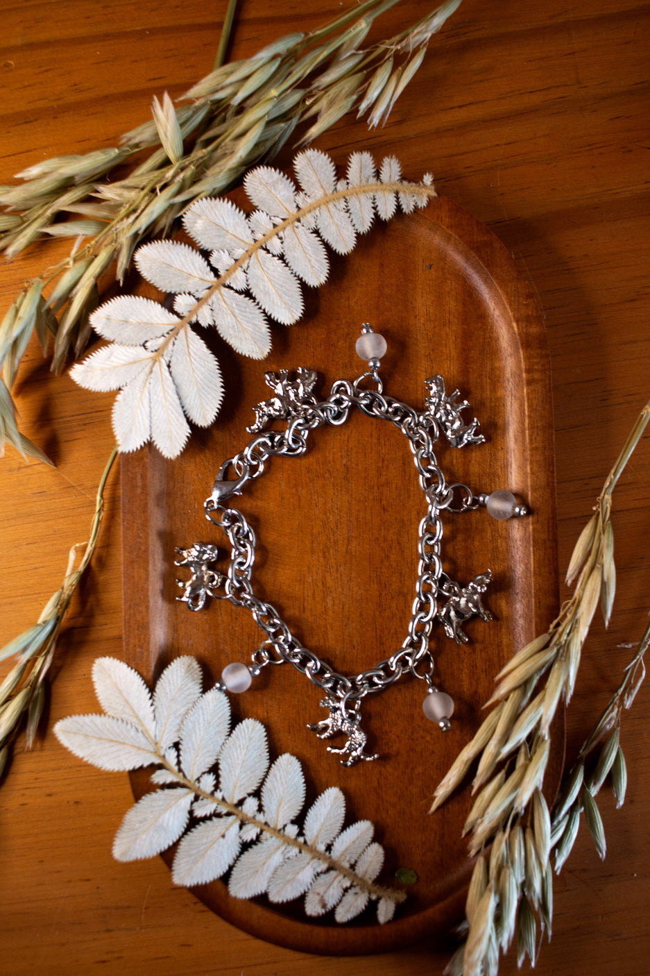 Charm Bracelet - Big 5 with White Beads